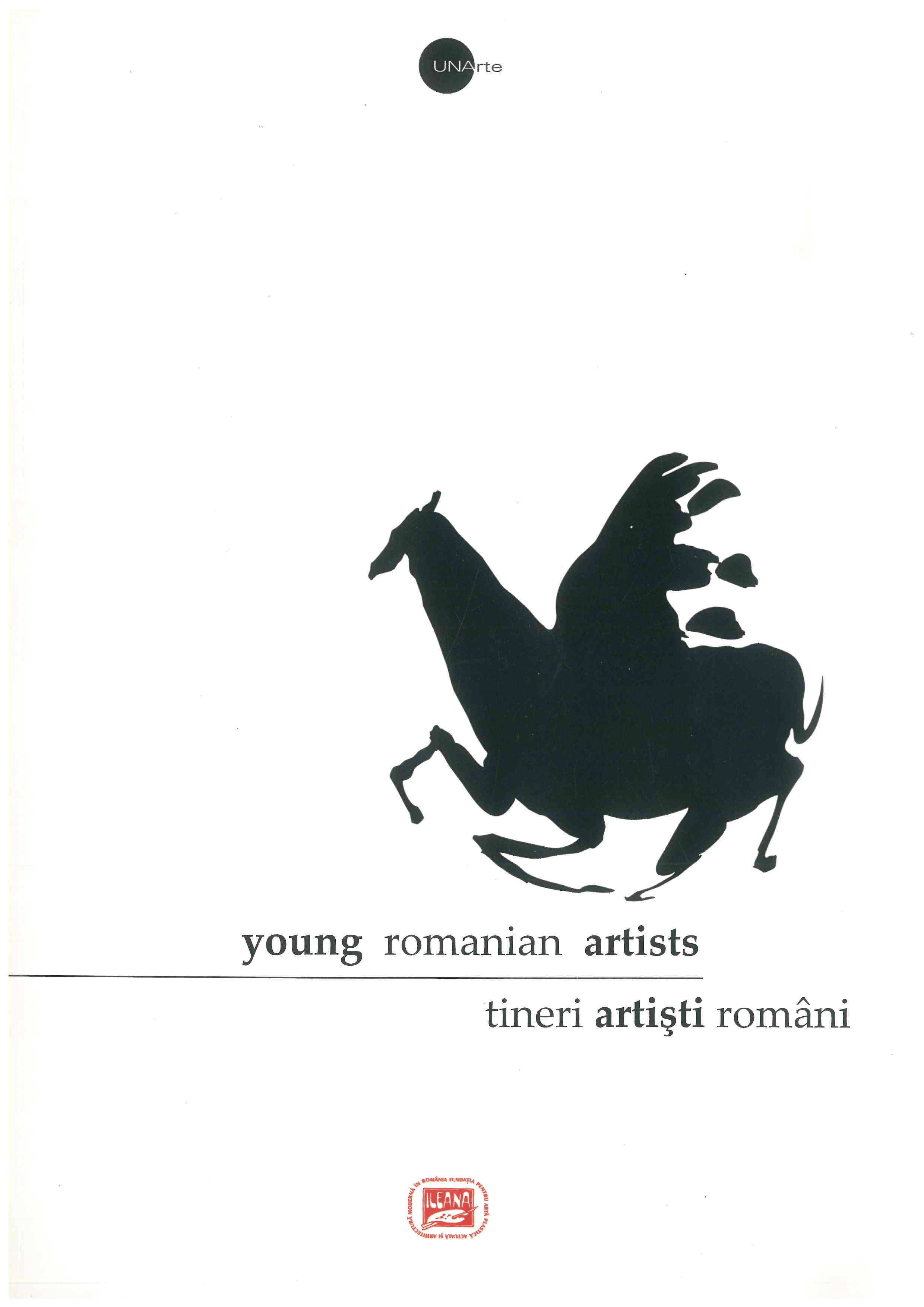 coperta catalogului „Young Romanian Artists”, Ediția 2008